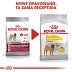 ROYAL CANIN DOG MEDIUM DERMACOMFORT 3kg - 4