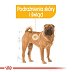 ROYAL CANIN DOG MEDIUM DERMACOMFORT 3kg - 5