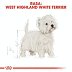 ROYAL CANIN DOG BREED West Highland White Terrier Adult 3kg - 2