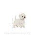 ROYAL CANIN DOG BREED West Highland White Terrier Adult 3kg - 8