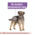 ROYAL CANIN DOG Sterilised saszetka 12x85g - 3