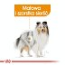 ROYAL CANIN DOG Mini Coat Care 3kg - 4