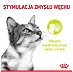 Royal Canin Sensory Smell w sosie karma mokra dla kotów dorosłych saszetka 85g - 2