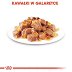 ROYAL CANIN INSTINCTIVE w galaretce saszetka 85g - 4
